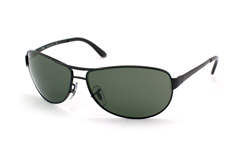 Ray-Ban Warrior RB 3342 006