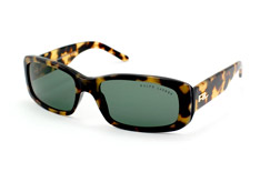 Ralph Lauren Sonnenbrille - Modell: Ralph Lauren RL 8015 5010/71