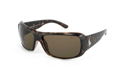 Polo Ralph Lauren Sonnenbrille - Modell: Polo Ralph Lauren PH 4039 517573