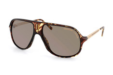 Carrera Safari / O FTI