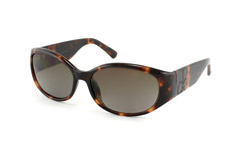 ck Calvin Klein CK 3101S 004