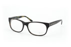 George Gina & Lucy Brille Luseefer 001