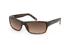 Fossil Sonnenbrille - Modell: Fossil Preston PS 4068 224