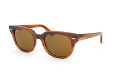 Ray-Ban Sonnenbrille - Modell: Ray-Ban Meteor RB 4168 820