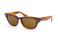 Ray-Ban Laramie RB 4169 820