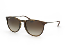 Ray-Ban RB 4171 865/13